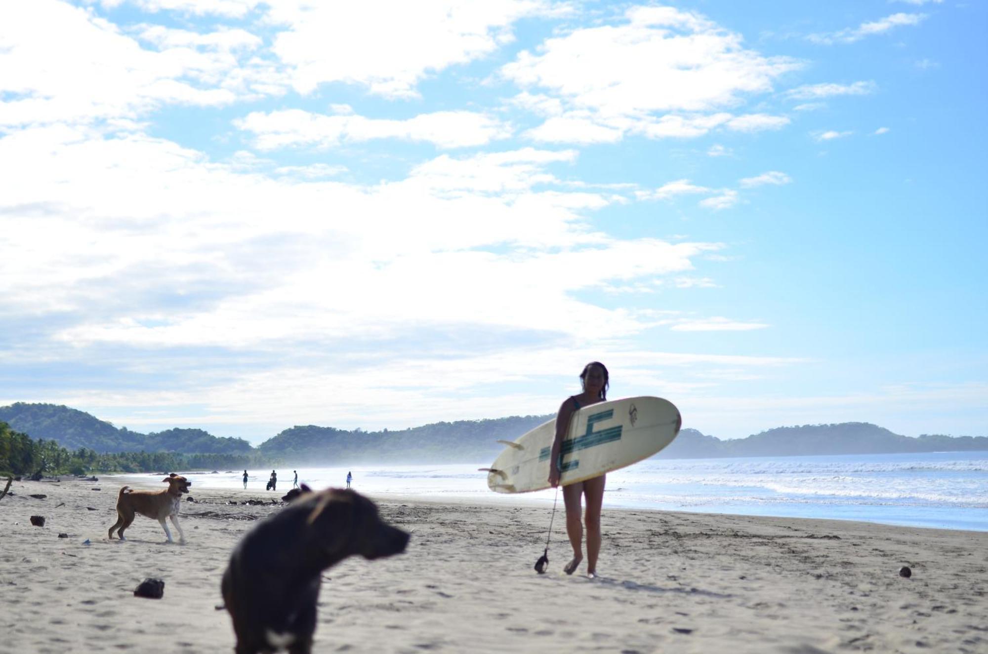 Alouatta Playa Coyote Pansiyon San Francisco de Coyote Dış mekan fotoğraf